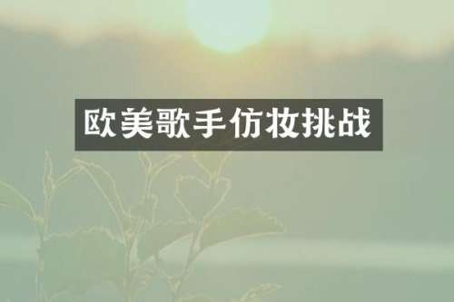 欧美歌手仿妆挑战