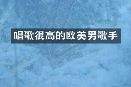 唱歌很高的欧美男歌手