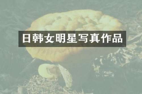 日韩女明星写真作品