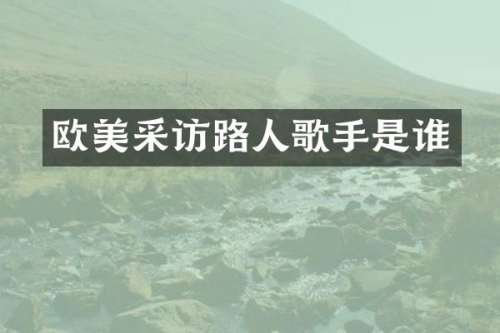 欧美采访路人歌手是谁