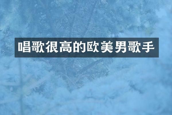 唱歌很高的欧美男歌手