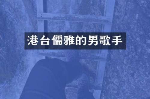 港台儒雅的男歌手