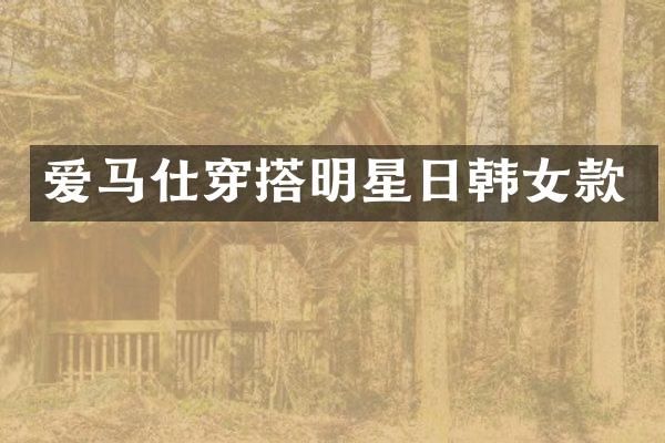 爱马仕穿搭明星日韩女款