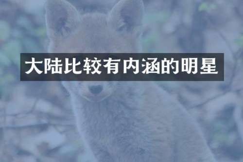 大陆比较有内涵的明星