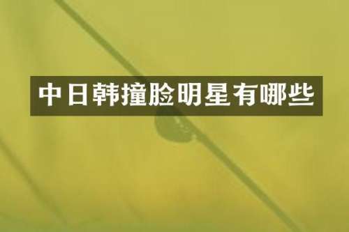 中日韩撞脸明星有哪些