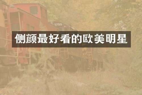 侧颜最好看的欧美明星