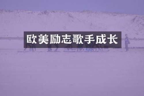 欧美励志歌手成长