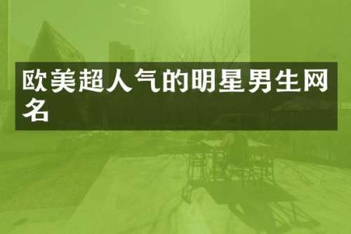 欧美超人气的明星男生网名