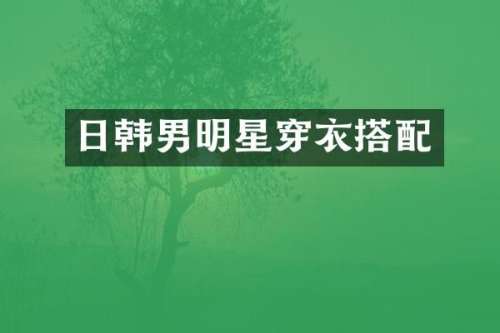 日韩男明星穿衣搭配