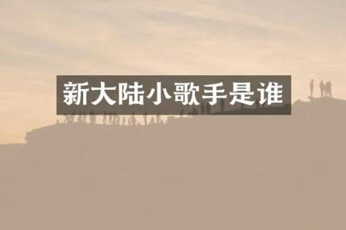 新大陆小歌手是谁