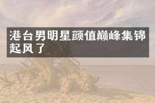 港台男明星颜值巅峰集锦起风了