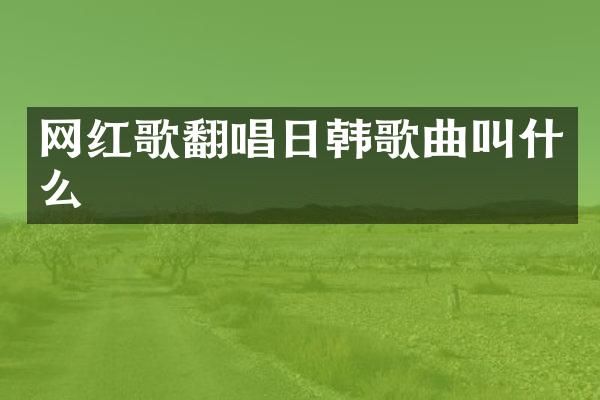 网红歌翻唱日韩歌曲叫什么
