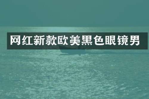 网红新款欧美黑色眼镜男