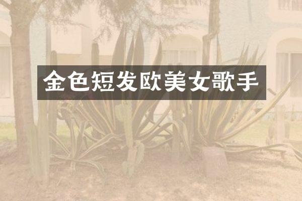 金色短发欧歌手