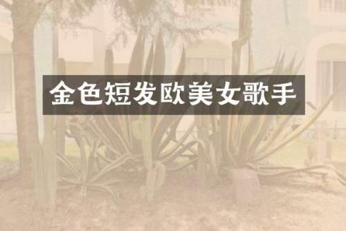 金色短发欧歌手
