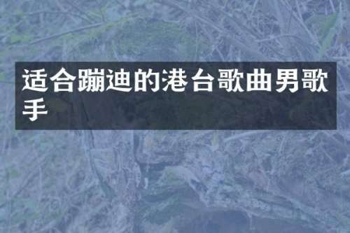 适合蹦迪的港台歌曲男歌手