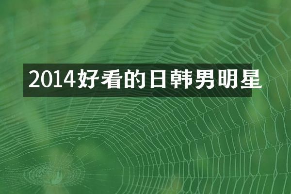 2014好看的日韩男明星