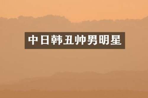中日韩丑帅男明星