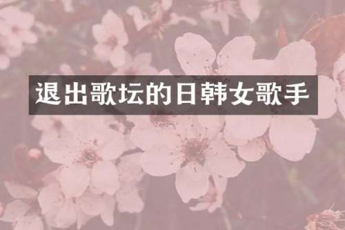 退出歌坛的日韩女歌手