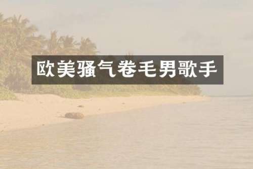 欧美气卷毛男歌手