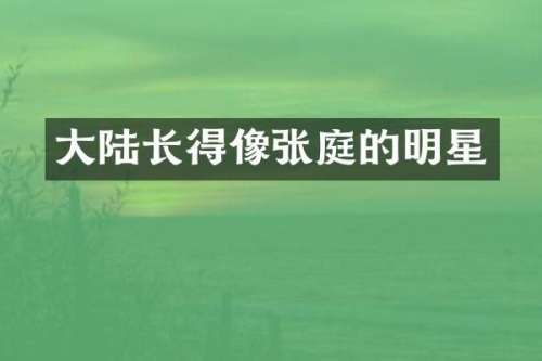大陆长得像张庭的明星