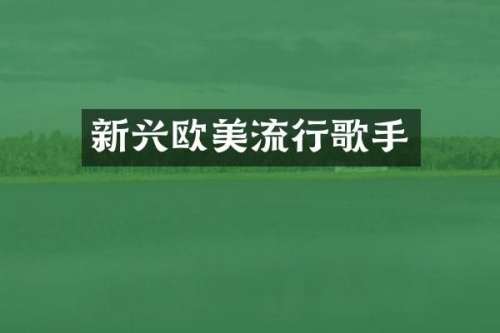 新兴欧美流行歌手