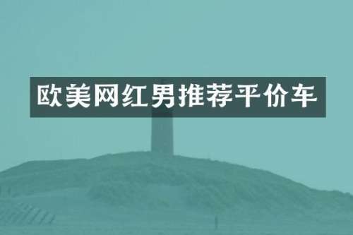 欧美网红男推荐平价车