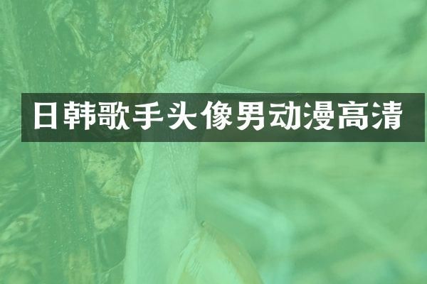 日韩歌手头像男动漫高清