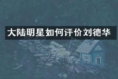 大陆明星如何评价刘德华