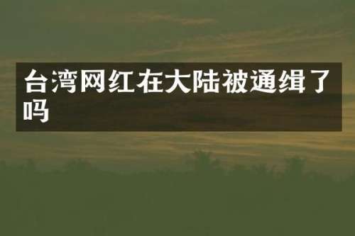 台湾网红在大陆被通缉了吗
