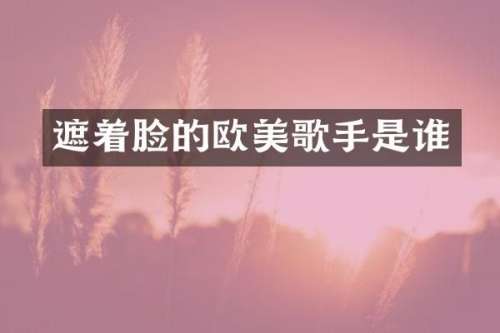 遮着脸的欧美歌手是谁