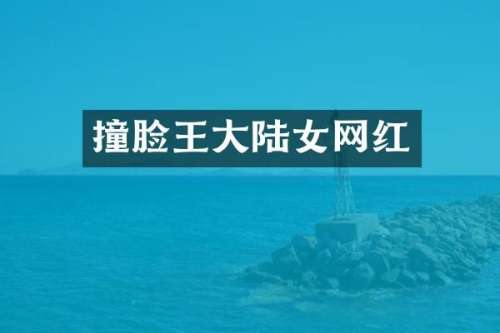撞脸王大陆女网红
