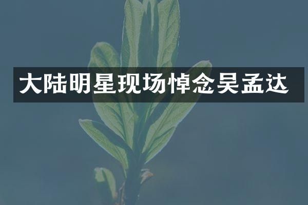 大陆明星现场悼念吴孟达