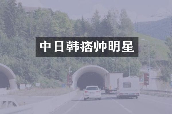 中日韩痞帅明星