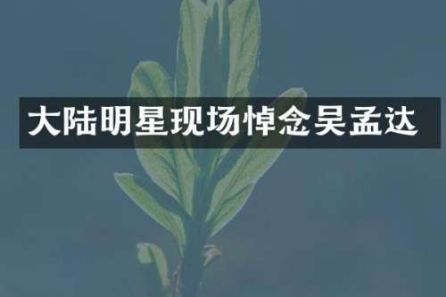 大陆明星现场悼念吴孟达