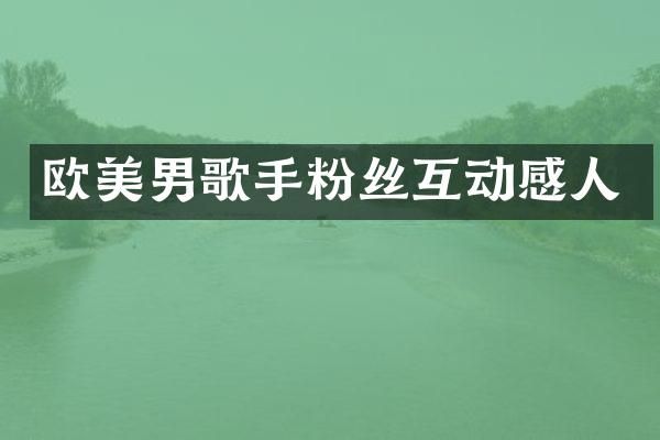 欧美男歌手粉丝互动感人