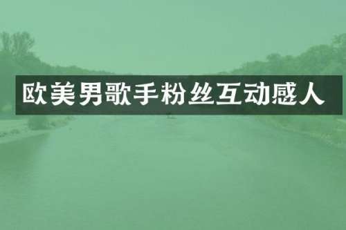 欧美男歌手粉丝互动感人