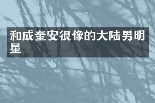 和成奎安很像的大陆男明星