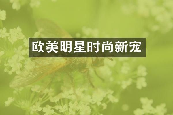 欧美明星时尚新宠