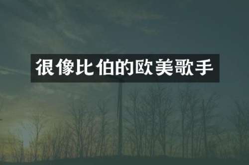 很像比伯的欧美歌手
