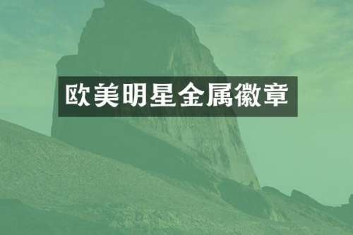 欧美明星金属徽章