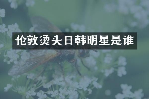 伦敦烫头日韩明星是谁