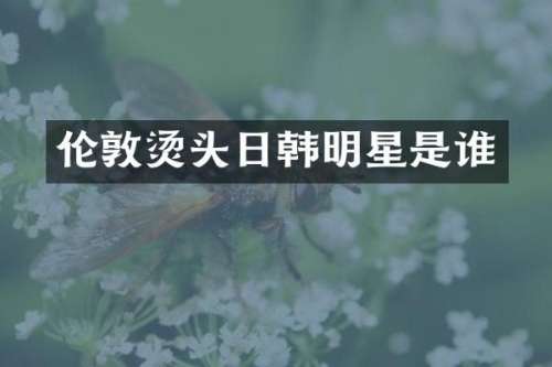 伦敦烫头日韩明星是谁