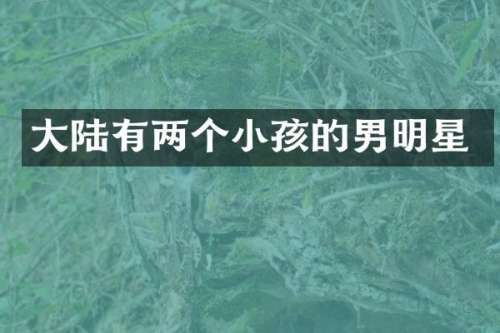 大陆有两个小孩的男明星