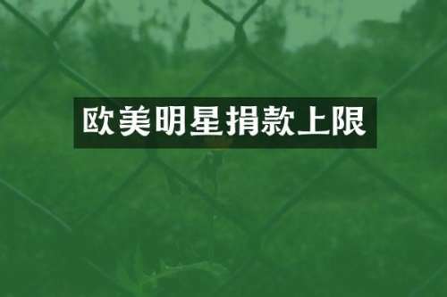 欧美明星捐款上限