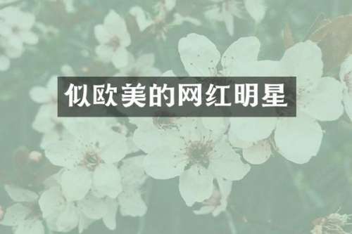 似欧美的网红明星