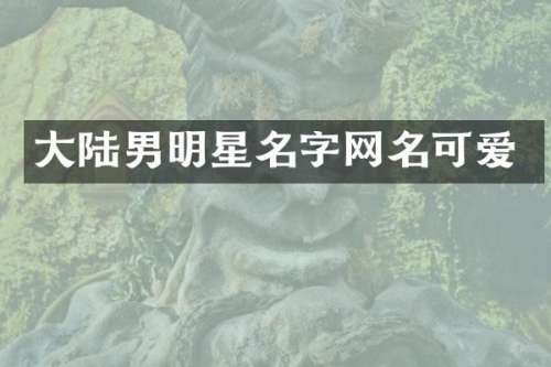 大陆男明星名字网名可爱