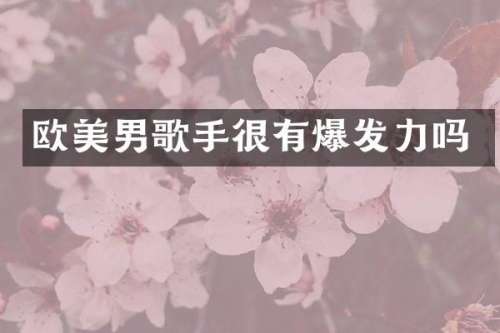 欧美男歌手很有爆发力吗