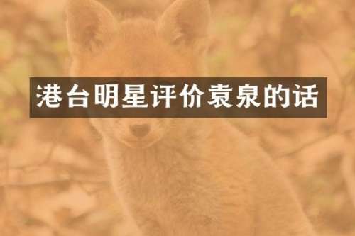 港台明星评价袁泉的话