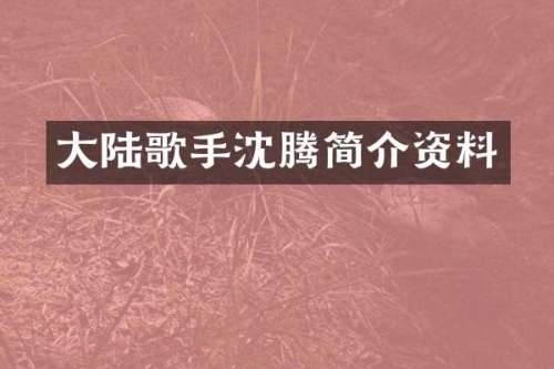 大陆歌手沈腾简介资料